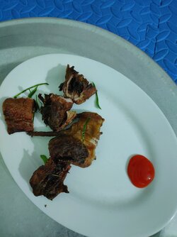IMG20211011205556.jpg