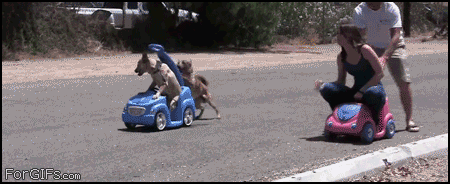 download (10).gif