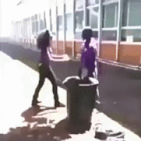 download (4).gif