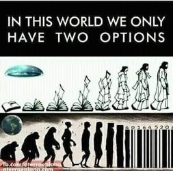 2D0B52CE-E427-441B-B0CA-1951F2AD4A48.jpeg
