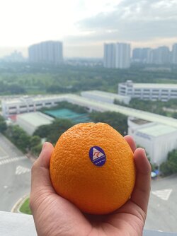 A3D5E590-D774-4E17-B630-9483C7F6E79C.jpeg