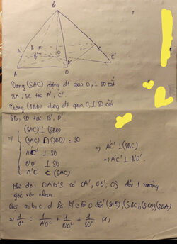 1408884C-198E-46E3-BDDC-7436FC9F8C80.jpeg