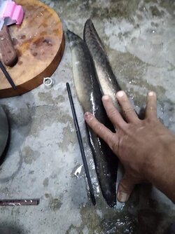 received_424671575680849.jpeg