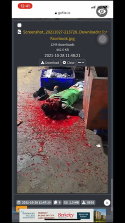 63199D22-BEE5-48F4-AB09-B192BB6AA86A.png