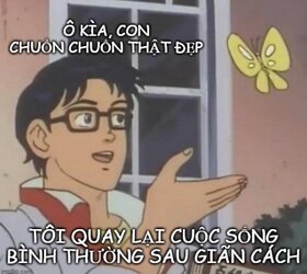 36F22832-10AF-458B-A5B1-37F95ECDF311.jpeg