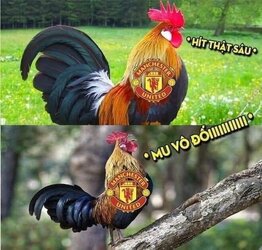 manutd-1612327387.jpg