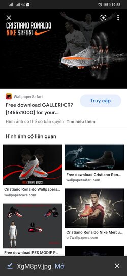Screenshot_20211103_195823_com.android.chrome.jpg
