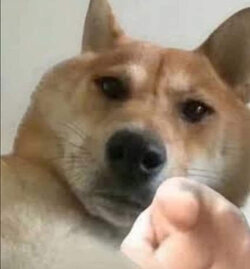 24260123-B386-40AC-BD94-7307E42E5B32.jpeg