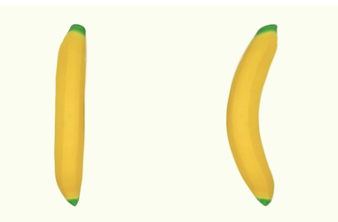 251704661_3867341703523936_2410599736067096520_n.png