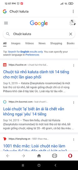 Screenshot_2021-11-04-12-07-49-395_com.opera.browser.jpg