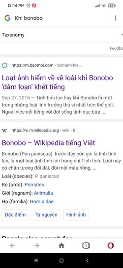 Screenshot_2021-11-04-12-14-59-638_com.opera.browser.jpg
