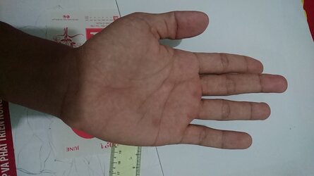 16364508649884674536443972934623.jpg