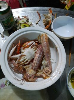 20201107_181617.jpg