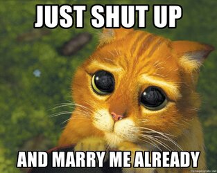just-shut-up-and-marry-me-already.jpg