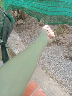 IMG20211110133908_00.jpg