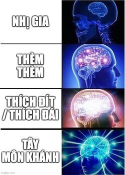 5twulp.jpg