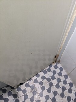 PXL_20211122_115600098.jpg