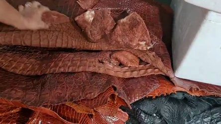 2790471307523379344.mp4_000001100.png