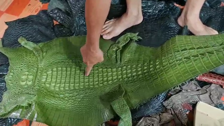 2790471307523379344.mp4_000032700.png