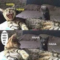 836AB7CB-9D1C-44C4-923F-33B8DD71AC0B.jpeg