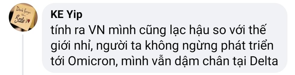51.jpg 51.jpg