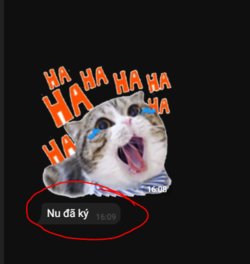 Capture3.PNG