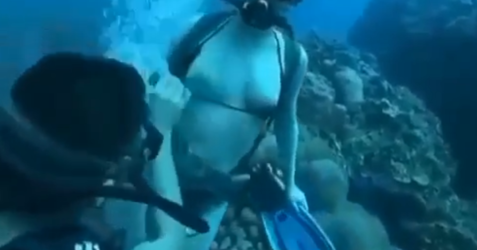 1638582601713.png