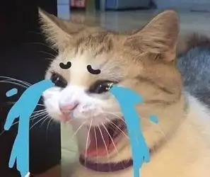 64505
