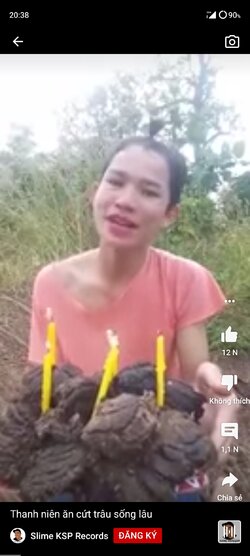Screenshot_2021-12-06-20-38-48-368_com.google.android.youtube.jpg