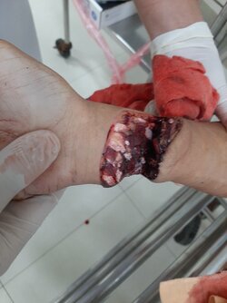 6E75D1D4-31E6-45FC-B233-E36459491CEC.jpeg