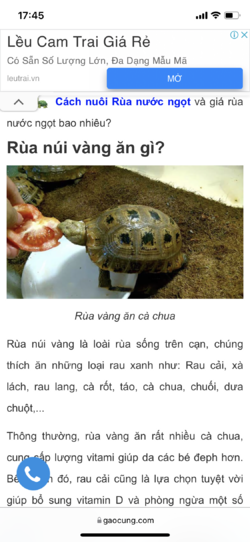 232C55C1-03F5-476F-96D4-F03DAC61D6B3.png