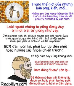 FB_IMG_1629596719729.jpg