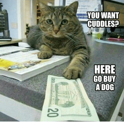 you-want-cuddles-here-go-buy-a-dog-4807564.png you-want-cuddles-here-go-buy-a-dog-4807564.png
