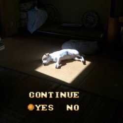 1639434767039s.jpg