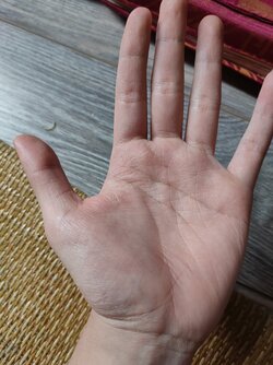 IMG20211221095221.jpg