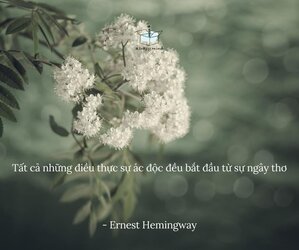 B52C62D6-912A-4D69-B840-C9050DA45BF1.jpeg