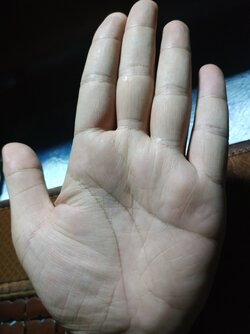 IMG_20201001_022219.jpg