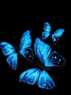 bluebutter_8z3ydrqq.gif