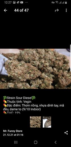 Screenshot_20211224-122729_Telegram.jpg