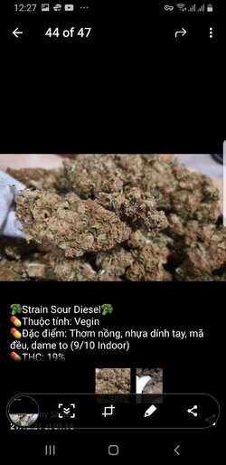 Screenshot_20211224-122723_Telegram.jpg