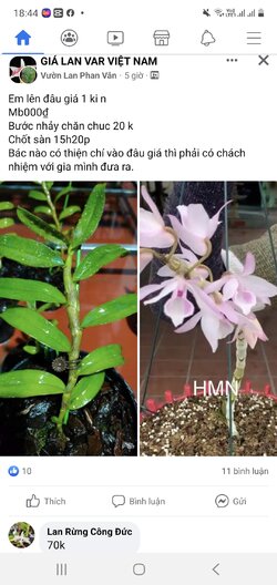 Screenshot_20211225-184446_Facebook.jpg