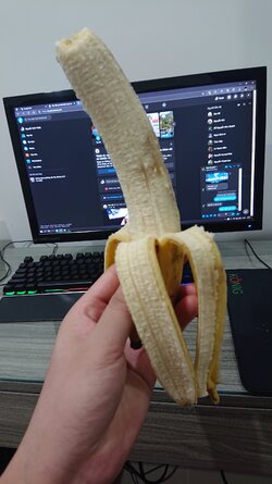 .jpg