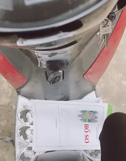 66033