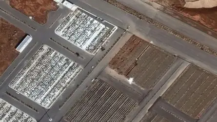 66318