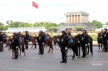 4560552-47a51e357a1a9defa69a1f3669916b29.jpg