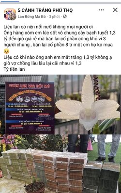 Screenshot_20211227-171234_Facebook.jpg