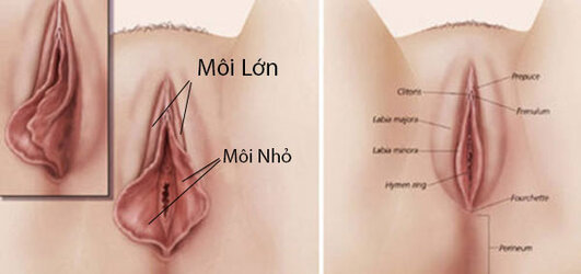 moi-lon.jpg