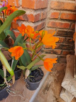 20220110_152819.jpg