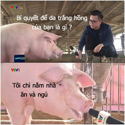123.jpg