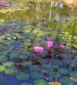 IMG_20220118_081659~2.jpg IMG_20220118_081659~2.jpg